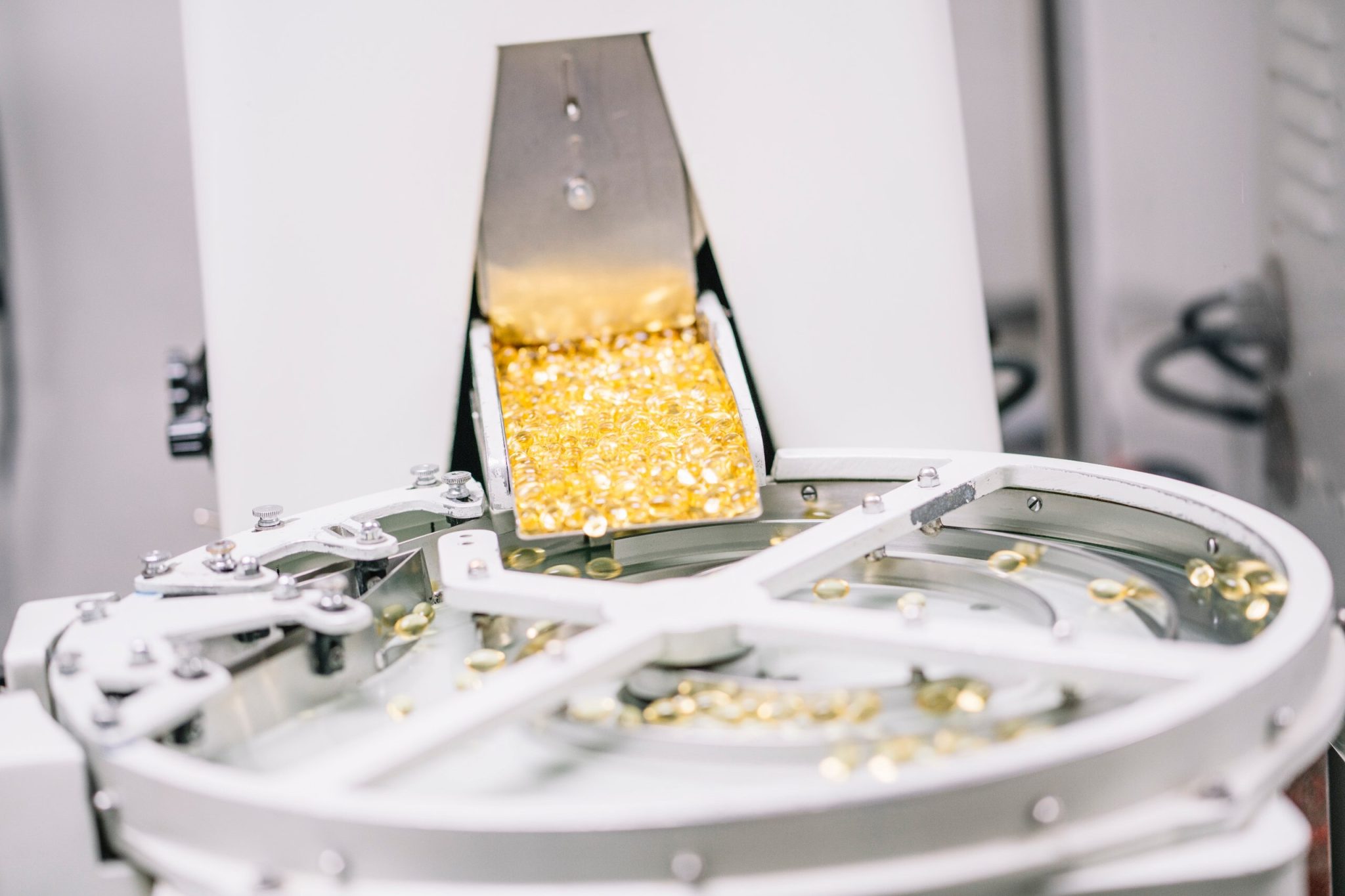 photo_2026-01-11_00-30-46 (2)